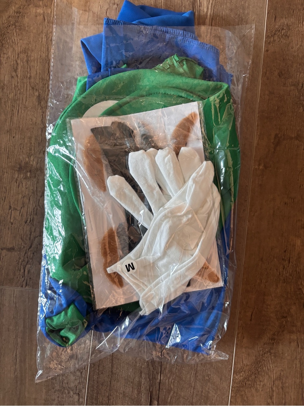 Luigi Costume (Medium)